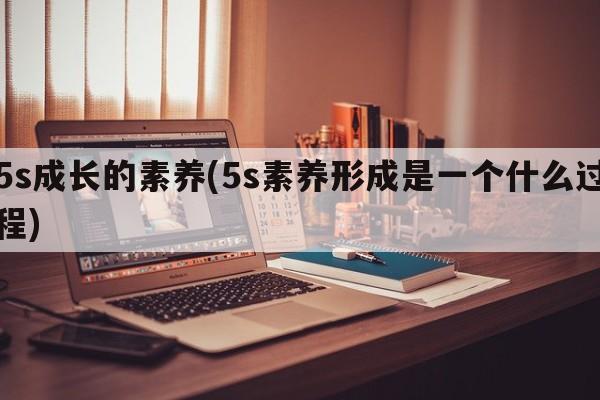 5s成长的素养(5s素养形成是一个什么过程)